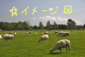 草を食む羊たち